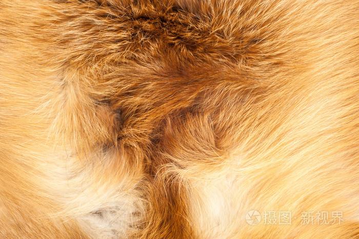 红狐毛质地布抽象毛锈质地平原表面粗糙毛毡背景在水平方向无人.