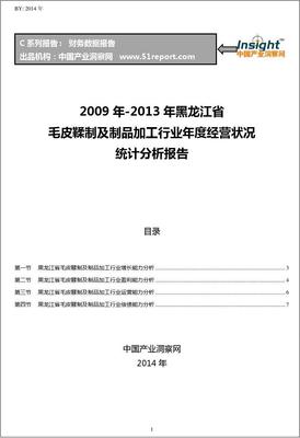 2009-2013年黑龙江省毛皮鞣制及制品加工行业经营状况分析年报