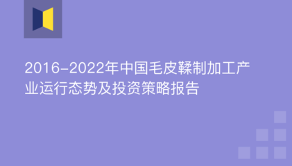 2016-2022年中国毛皮鞣制加工产业运行态势及投资策略报告